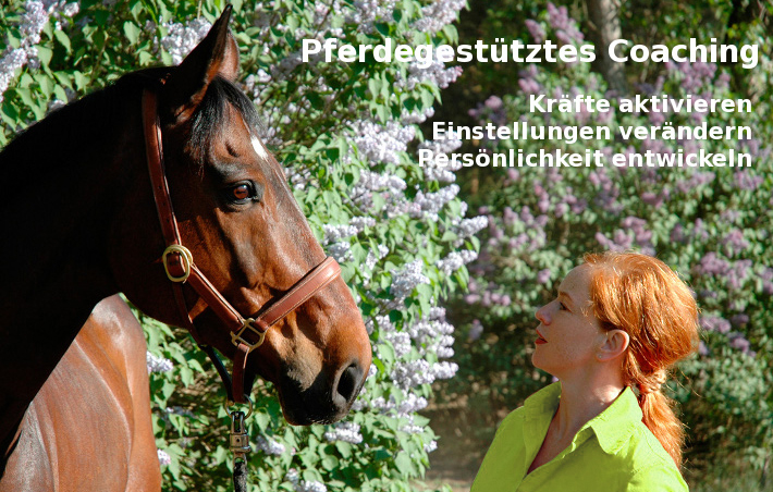 Logo Pferdegestütztes Coaching